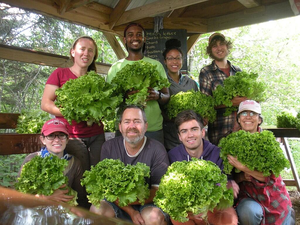 wwoof