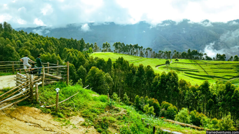 7 Vattavada Tourist Places To Visit Hidden Paradise In Munnar