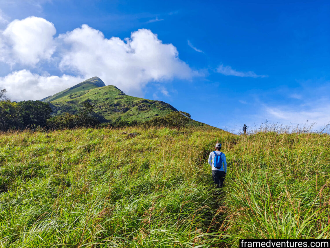 A person trekking through a meadow with Chembra Peak in the background