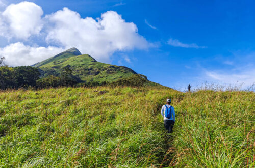 A person trekking through a meadow with Chembra Peak in the background