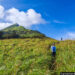 A person trekking through a meadow with Chembra Peak in the background
