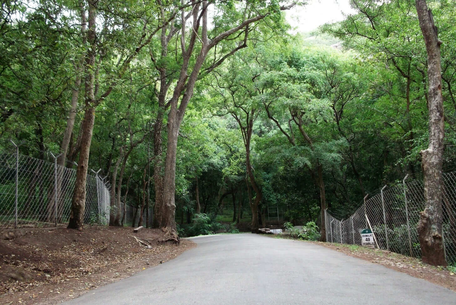 A road passing through Marayoor Sandalwood Forest