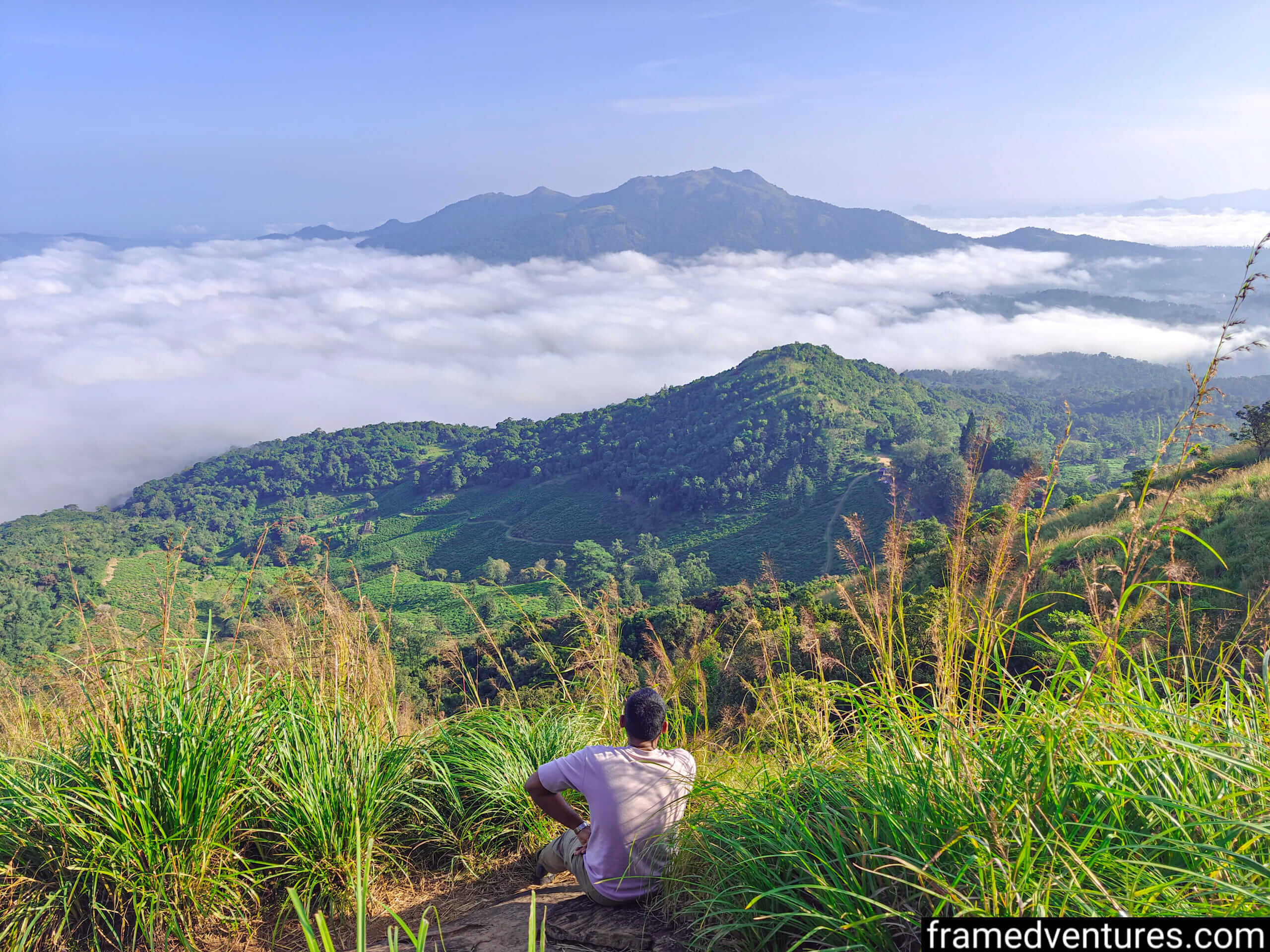 A trekker staring at tea plantations clouds and mountains in the distance Framedventures