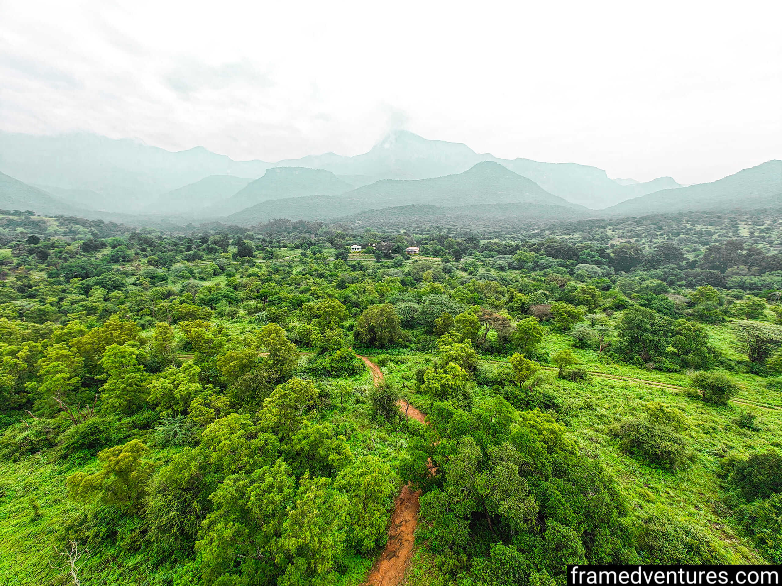 A view from the watchtower at Chinnar Wildlife Sanctuary
