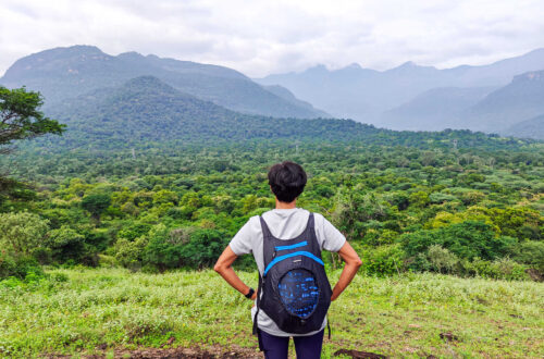 A woman observing the hills at Chinnar Wildlife Sanctuary
