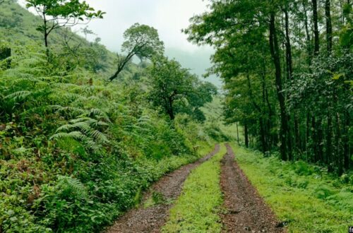places in chikmagalur