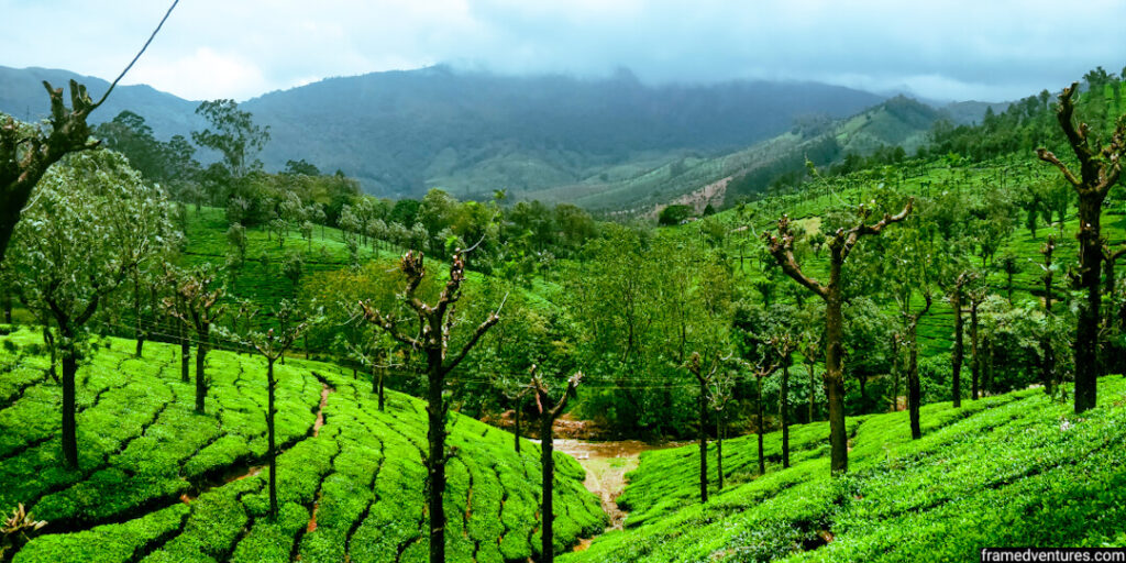 valparai tour packages