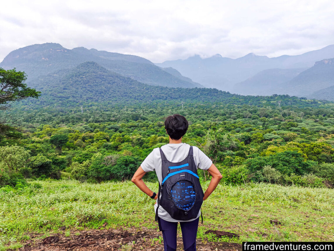A woman observing the hills at Chinnar Wildlife Sanctuary